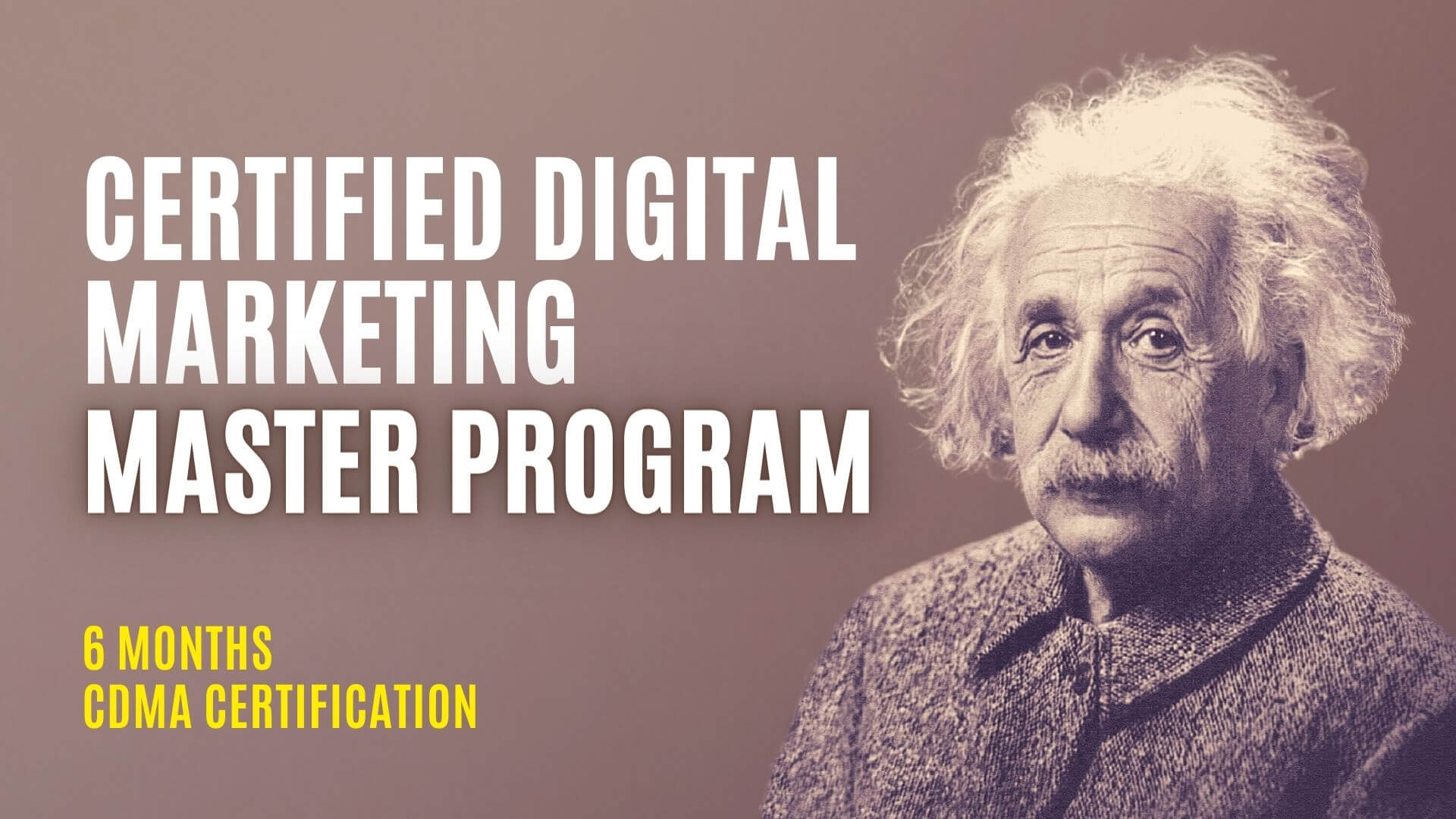 Certified Digital Marketing Training - 6 months